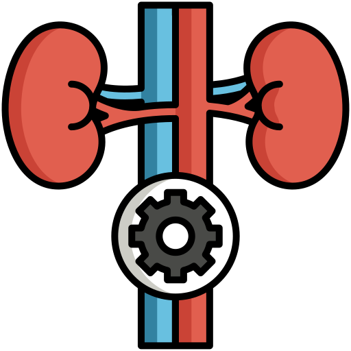Kidney Procedures