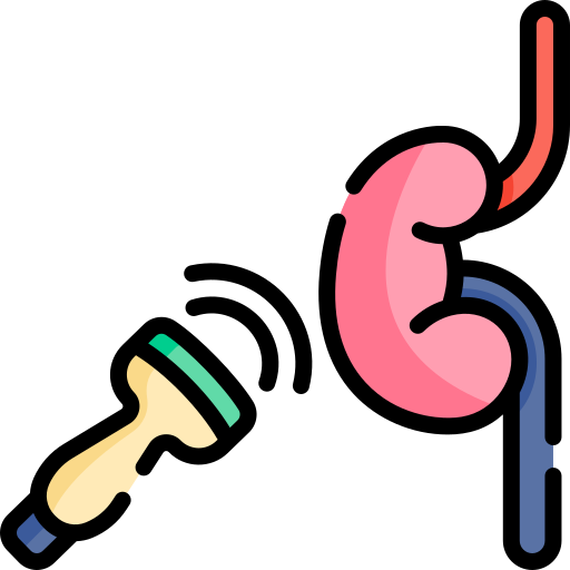 Kidney Sonography & Doppler