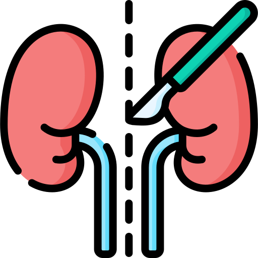 Kidney Transplants